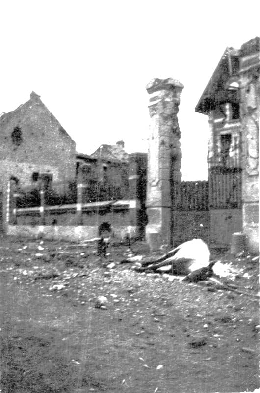 Arrestation civils 1914 — cheval mort dans une rue de Loos sous l'occupation allemande